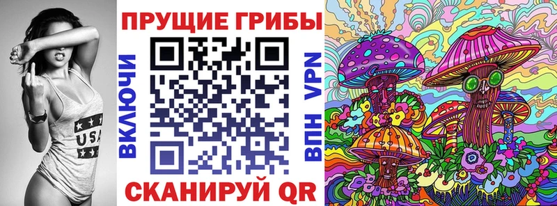 Псилоцибиновые грибы MAGIC MUSHROOMS  где купить наркотик  Апатиты 