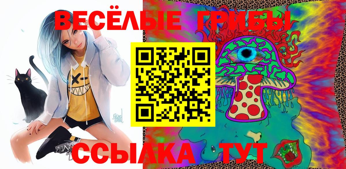 Псилоцибиновые грибы Cubensis  как найти закладки  Апатиты  Псилоцибиновые грибы Psilocybe 