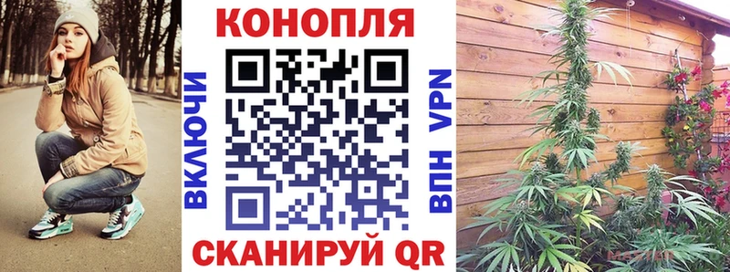 Конопля MAZAR  KRAKEN ССЫЛКА  Апатиты 
